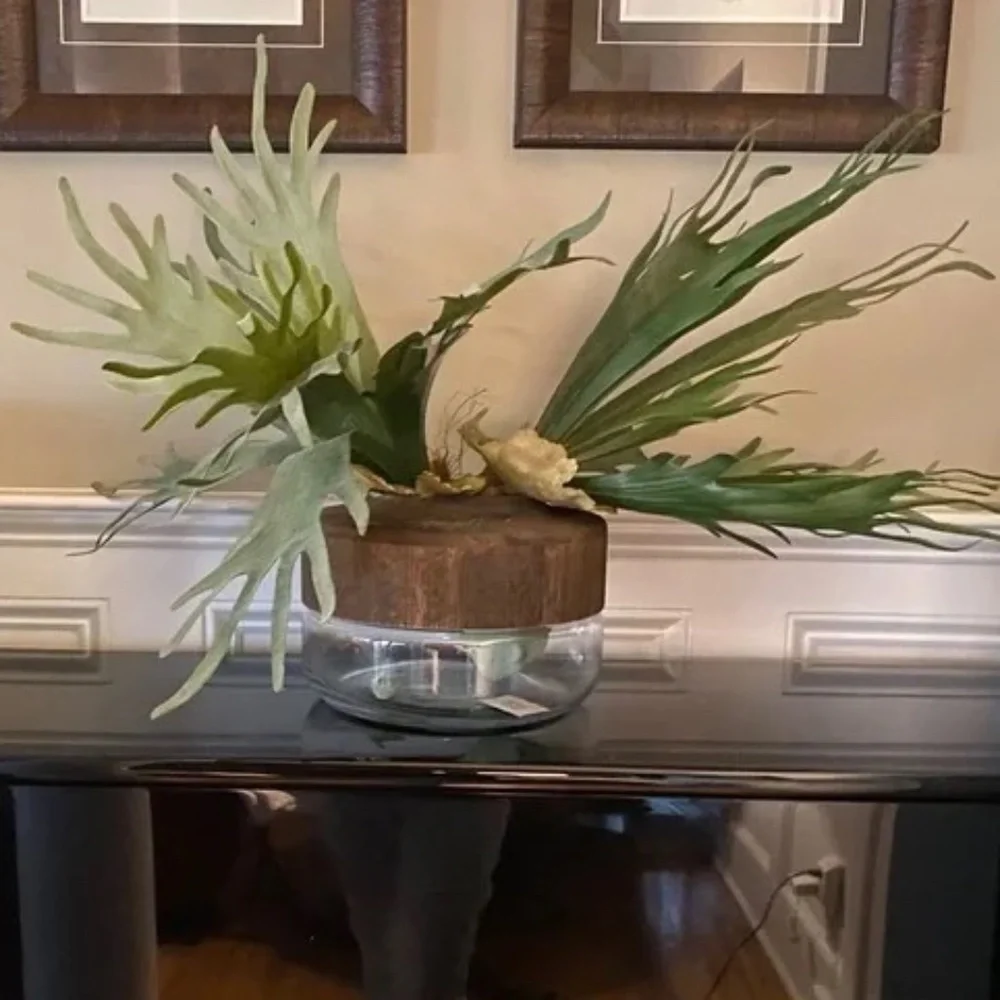 NWT Anthropologie Mid Century Willa Vase
